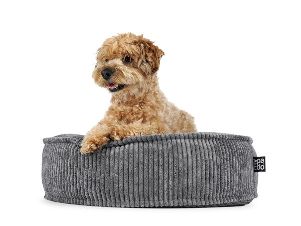 Pads for all - Hundekissen Mio Cord
