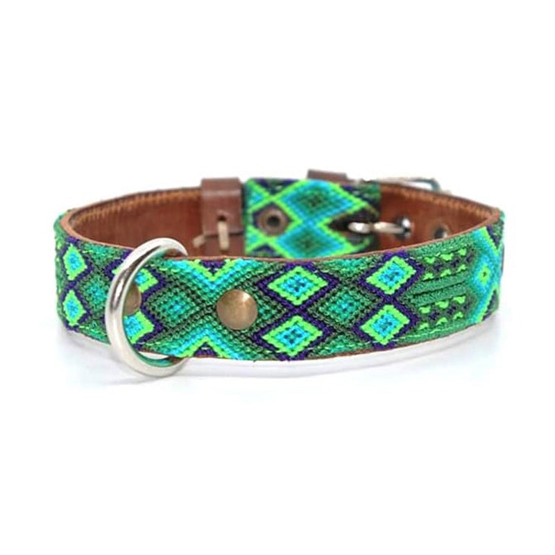 Kinakú Dog Collar BECAN Grösse S im Set mit Leine