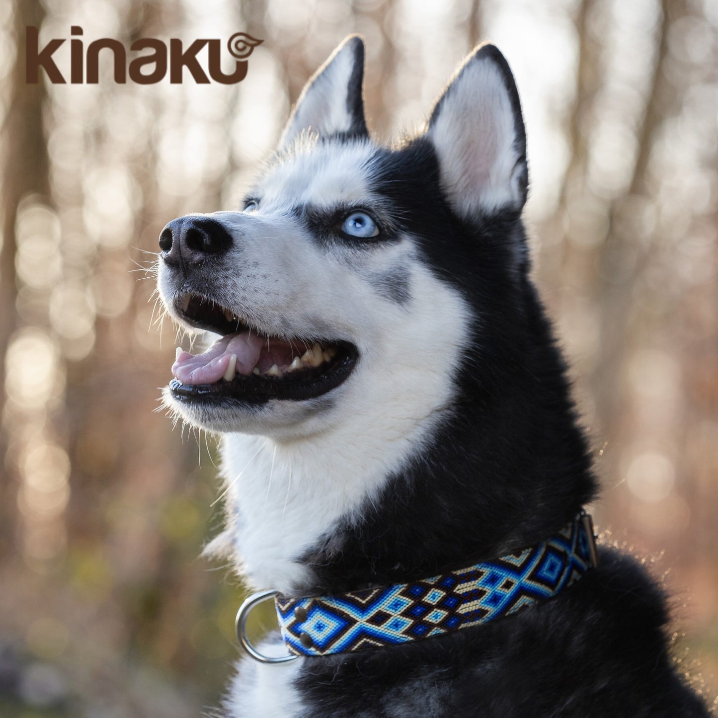 Kinakú Dog Collar TULUM im Set mit Leine, Grösse S