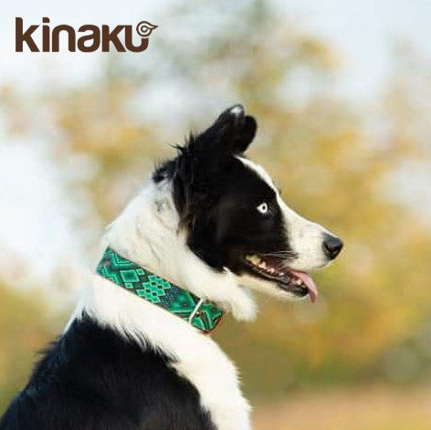 Kinakú Dog Collar BECAN Grösse S im Set mit Leine