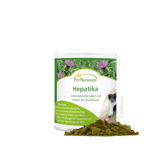 PerNaturam Hepatika 100g