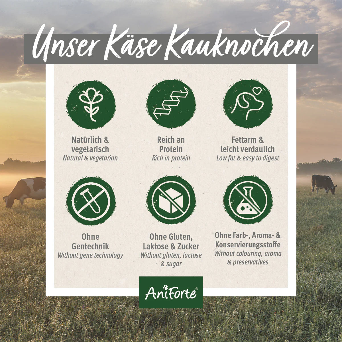 AniForte® Käse Kauknochen