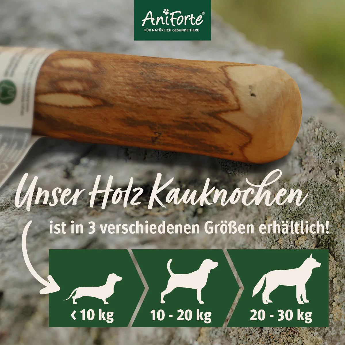 AniForte® Olivenholz Kauknochen