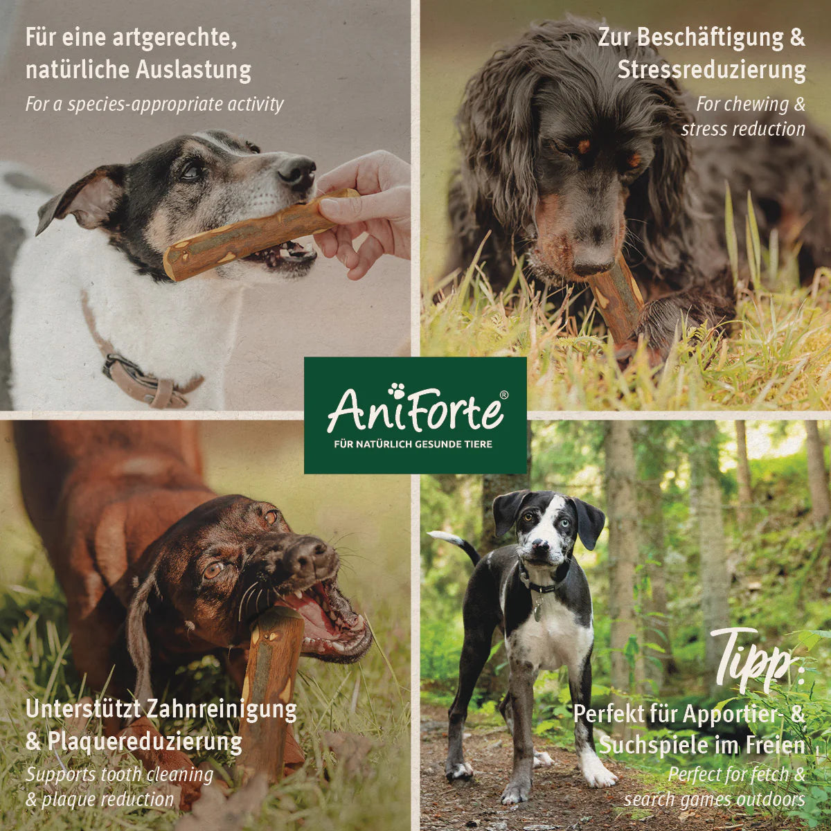 AniForte® Olivenholz Kauknochen