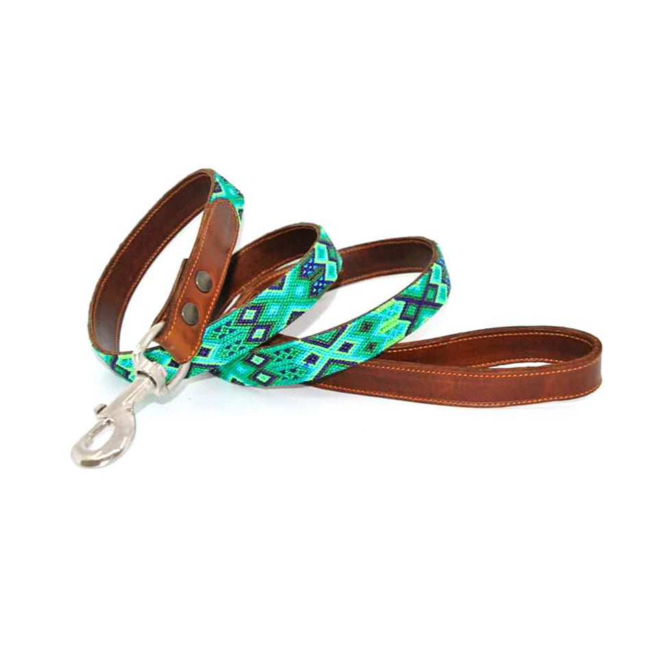 Kinakú Dog Collar BECAN Grösse S im Set mit Leine