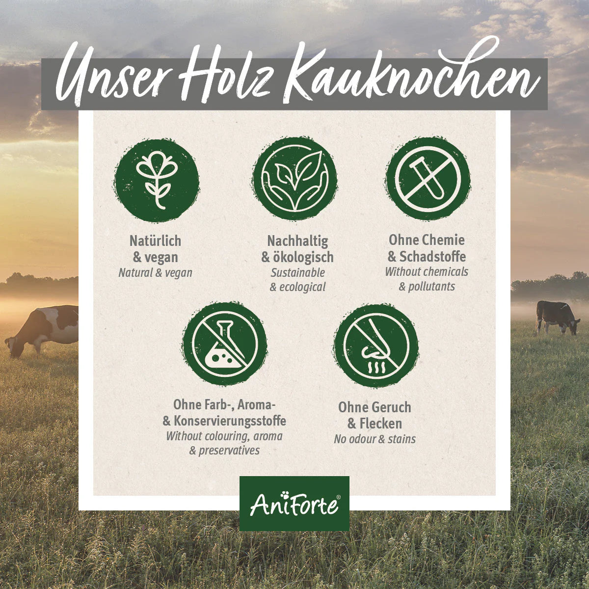 AniForte® Olivenholz Kauknochen