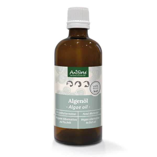 Algenöl Die vegane Alternative 50ml