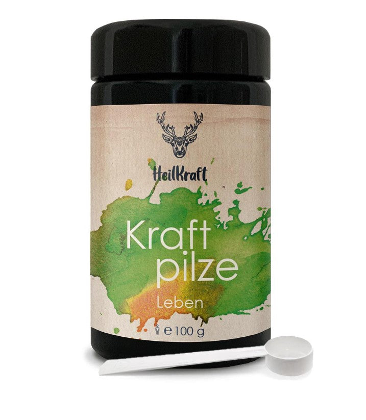 Heilkraft Kraftpilze Leben - Vitalpilz Synergetikum