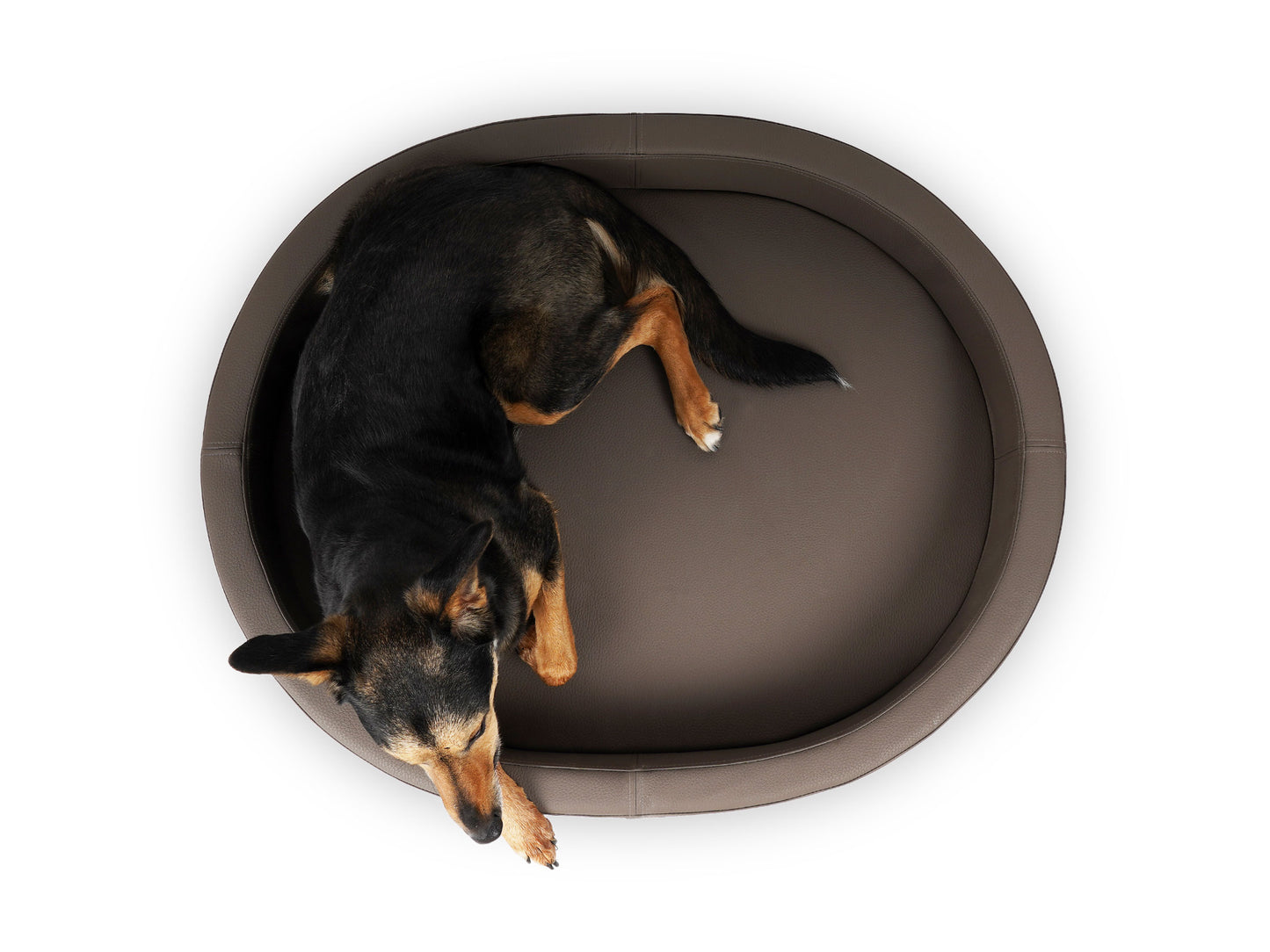 Pads for all Hundebett London Premium