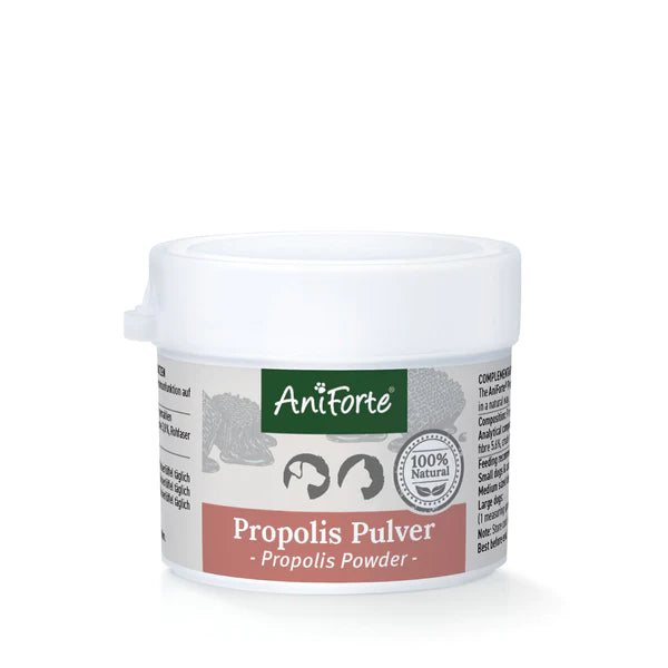 Propolis Pulver 20g