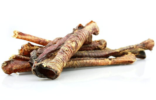 Lamm-Strossen (Luftröhren)