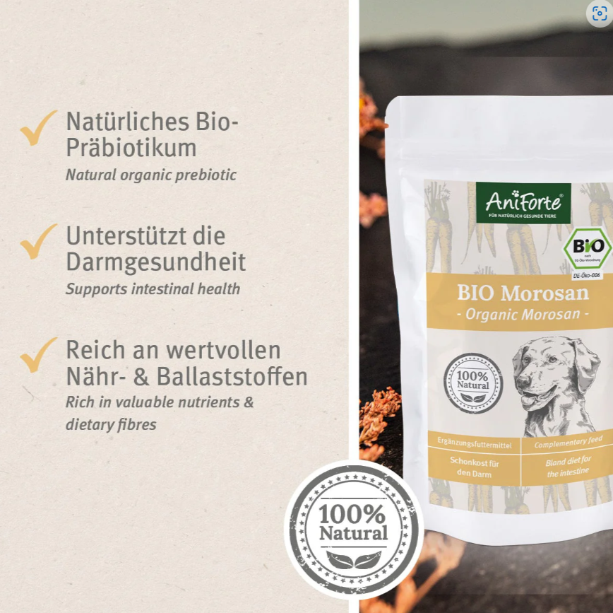 AniForte Bio Morosan - Morosuppe