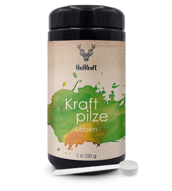 Heilkraft Kraftpilze Leben - Vitalpilz Synergetikum