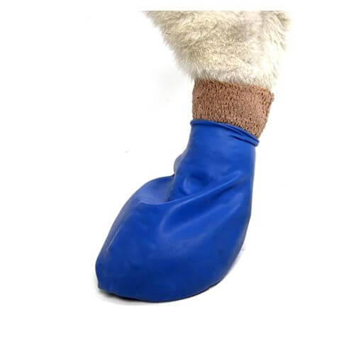 PawZ Dog Boots