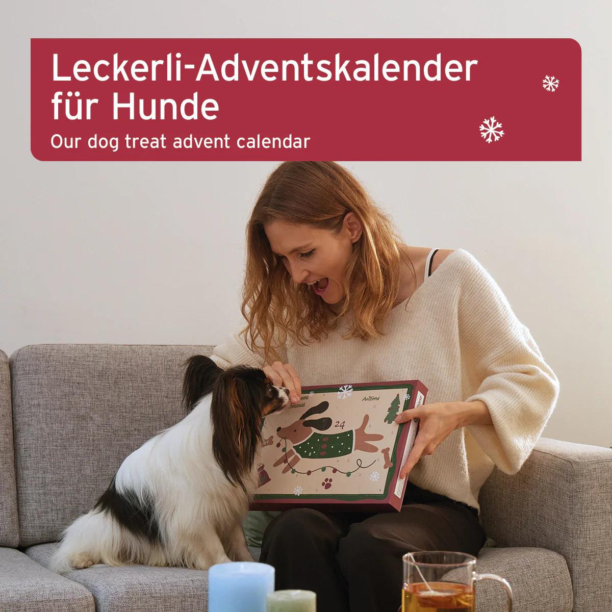 AniForte® Adventskalender für Hunde