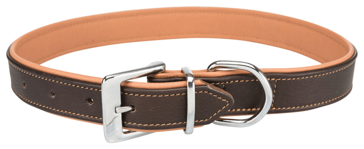 Trixie Active Halsband Für Hunde – Robustes Echtleder-Halsband